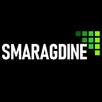 Smaragdine Technologies Pvt. ltd. logo - Similar company to N Information Technologies Pvt Ltd