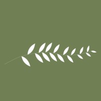 Anápi Semijoias logo - Similar company to Next Semijoias