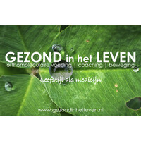 GEZOND in het LEVEN logo - Similar company to Y Business Alignment