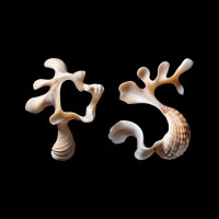 Phygital Studio logo - Similar company to Little Pixels Design Studio