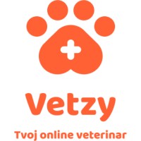 Vetzy logo - Similar company to Codeanywhere