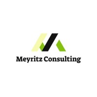 MEYRITZ CONSULTING LTD logo - Similar company to Mobilytics