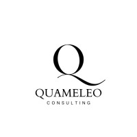 QUAMELEO Consulting logo - Similar company to Wimpulse