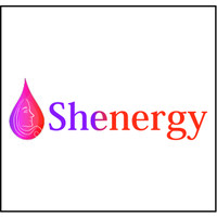 SHENERGY logo - Similar company to 180 Degrees Consulting Luleå