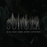 Sonora Sound Experience logo - Similar company to Punta Carrasco S.A.
