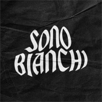 Sonobianchi logo - Similar company to Bureau Constructief