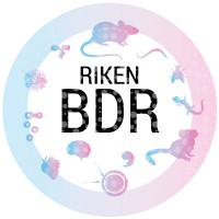 RIKEN BDR / 理化学研究所 生命機能科学研究センター logo - Similar company to Teratorr Technologies