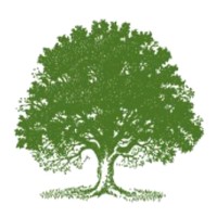 Hamstreet Primary Academy logo - Similar company to Ace Learning Trust