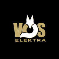 Vos Elektra B.V. logo - Similar company to P