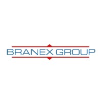 Branex Group logo - Similar company to Flex Workforce Solutions Llc