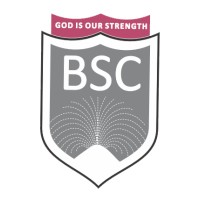 British Spring College Awka logo - Similar company to Transformational Teachers Network