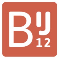 BIJ12 logo - Similar company to Disgover