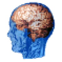 Brain Research Institute