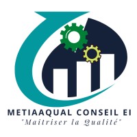 MeTIaaQuaL CONSEIL et AUDIT logo - Similar company to Wilson Web