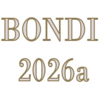 Bondi2026a logo - Similar company to Bubble Events