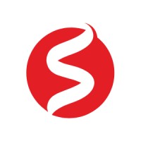 Intellistride Technologies logo - Similar company to Tagid Solutions Pvt. Ltd