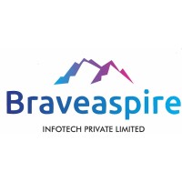 BraveAspire Infotech Private Limited logo - Similar company to Savvynxt