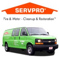 SERVPRO of Puyallup/Sumner, Auburn/Enumclaw and Lacey logo - Similar company to Anovaworks, Pllc