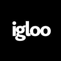 Igloo Vision logo - Similar company to Nextwave Technologies