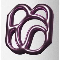 dsm.jpeg logo - Similar company to Adam Studio