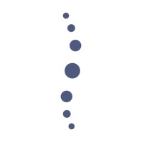 SelfBack logo - Similar company to Cordulus