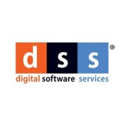Digital Software Services logo - Similar company to Flizar Infotech