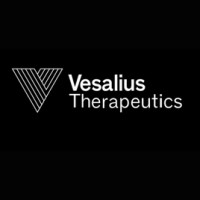 Vesalius Therapeutics logo - Similar company to Abl Bio Inc.
