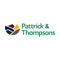Pattrick & Thompsons logo - Similar company to Kawstore