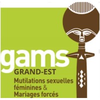 Gams Grand-Est logo - Similar company to Edpams Jacques Sourdille