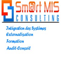 Smart MIS Consulting logo - Similar company to Clarans Afrique