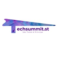Techsummit.st logo - Similar company to Bright Future Academy