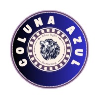 Blue Light Marketing Ltda logo - Similar company to In Site