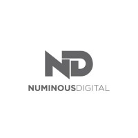 Numinous Digital logo - Similar company to Public Nectar