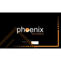 PHOENIX NETWORKS logo - Similar company to Phoenix Network