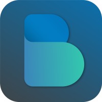 Bliqin logo - Similar company to Zeusxpay