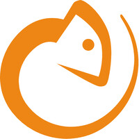 LINGO logo - Similar company to Lingo