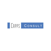 CAPPS Consult logo - Similar company to The Mind Syndicate