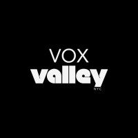 VOX VALLEY NYC logo - Similar company to Vox Value