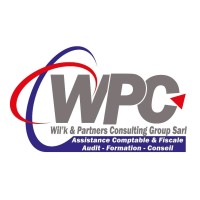 Wil'k & Partners Consulting Group Sarl logo - Similar company to Afrik'Genesis