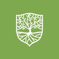 iThrive Games logo - Similar company to Emerge Consulting