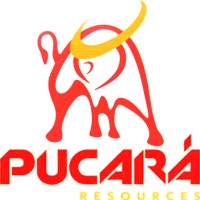 Pucara Resources Corp. logo - Similar company to Suac Solutions Spa