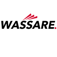 Wassare Group logo - Similar company to Recursion Media Group, Inc.