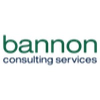 Bannon Consulting Services, LLC logo - Similar company to Perfect Consulting Group
