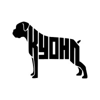 Kyohn logo - Similar company to Swifterx