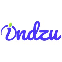 Indzu logo - Similar company to Validare Agency