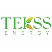 TEKSS logo - Similar company to Captrics