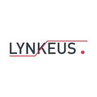 Lynkeus Srl logo - Similar company to Data Valley Consulting
