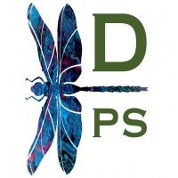 Dragonfly Production Services