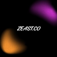 Zeast.co logo - Similar company to Zpath