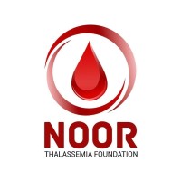 Noor Thalassemia Foundation logo - Similar company to Metrocitylab